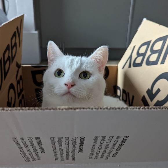 Meet your Posher, Emily - Picture 2 of 8